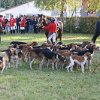 IMG_9693