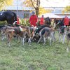 IMG_9696