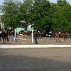 IMG_8810