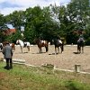 IMG_8862