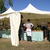 IMG_8924