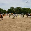 IMG_8952