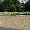 IMG_8960