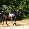 IMG_9009
