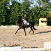 IMG_9012