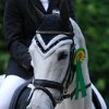 2DSC_0092