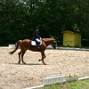 IMG_0872