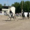 IMG_0919