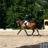 IMG_0956